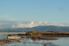 Άποψη-της-λθ-Πρόκοπος_Φωτ.-Ελένη-Σωτηροπούλου