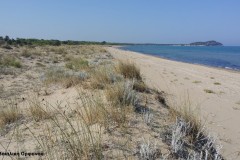Αμμόλοφοι-και-στο-βάθος-ο-λόφος-Κουνουπέλι_Φωτ.-Βασιλική-Ορφανού
